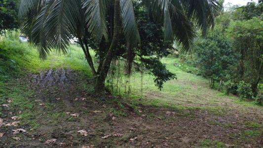 Acheter Terrain Fort-de-france 217000 euros