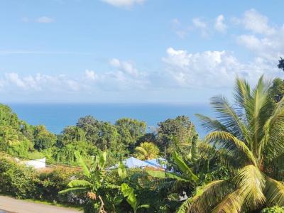 For sale Capesterre-belle-eau 4 rooms 169 m2 Guadeloupe (97130) photo 4