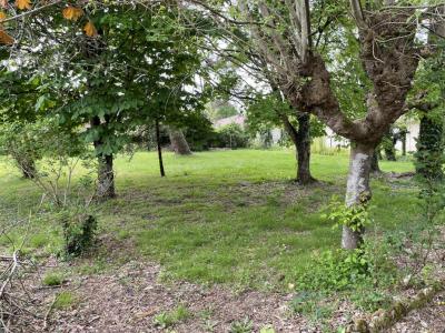 For sale Braud-et-saint-louis 3 rooms 80 m2 Gironde (33820) photo 1