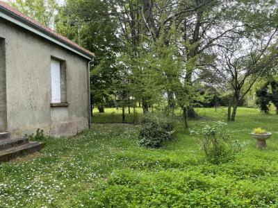 For sale Braud-et-saint-louis 3 rooms 80 m2 Gironde (33820) photo 4