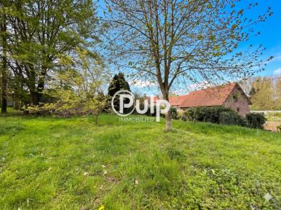 Annonce Location 4 pi�ces Maison Riviere 62