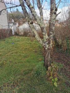 For rent Saint-junien 3 rooms 100 m2 Haute vienne (87200) photo 3