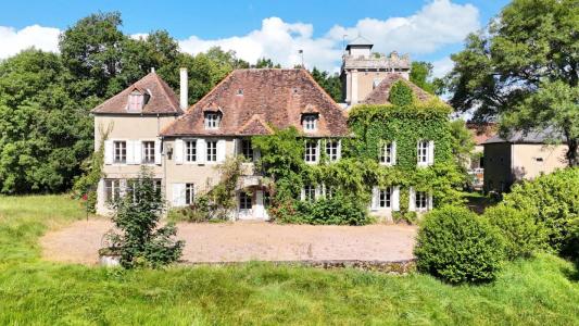 For sale Laizy 18 rooms 515 m2 Saone et loire (71190) photo 0