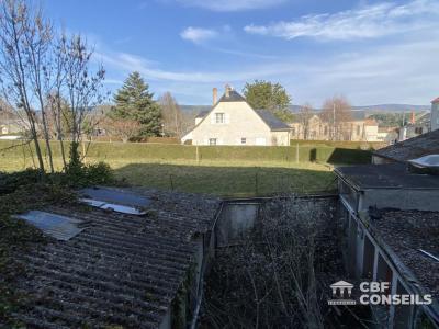 Annonce Vente 59 pi�ces Maison Ruynes-en-margeride 15