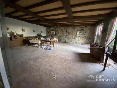 Acheter Maison 990 m2 Ruynes-en-margeride