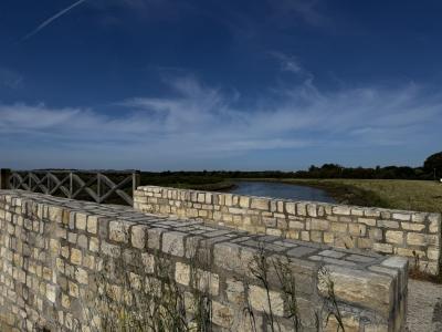 Annonce Vente Terrain  85