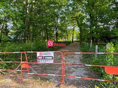 Acheter Terrain 989 m2 Hourtin