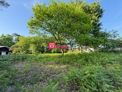 Acheter Terrain Hourtin Gironde