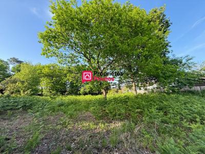 Acheter Terrain Hourtin 192000 euros