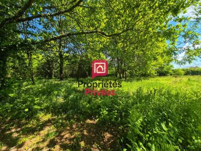 Acheter Terrain 1595 m2 Bazas