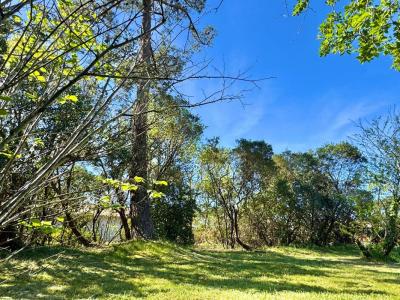 For sale Teste-de-buch 1000 m2 Gironde (33260) photo 0