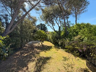 Annonce Vente 16 pi�ces Maison Carpentras 84