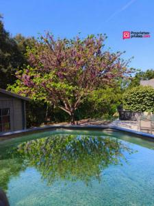 Acheter Maison 129 m2 Vidauban