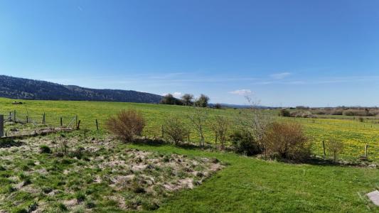 For sale Riviere-drugeon 867 m2 Doubs (25560) photo 0