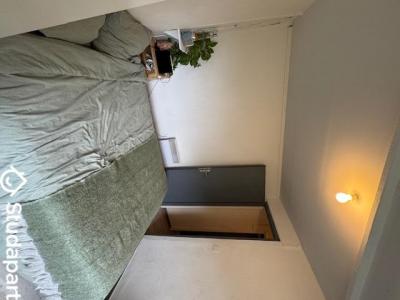 Annonce Location 2 pi�ces Appartement Lille 59