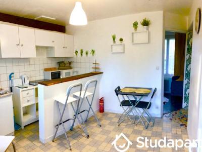 For rent Blere 2 rooms 30 m2 Indre et loire (37150) photo 1