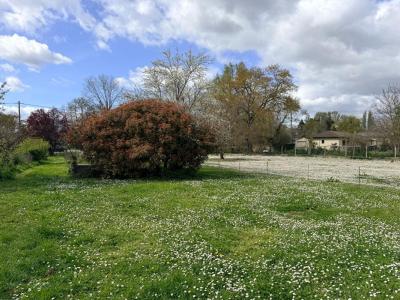 For sale Saint-laurent-d'arce 2600 m2 Gironde (33240) photo 0