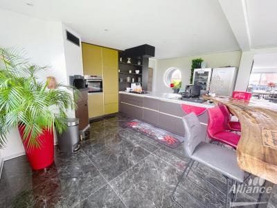 For sale Dannemarie 5 rooms 177 m2 Haut rhin (68210) photo 3