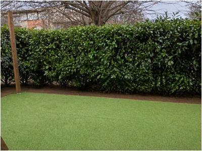 Annonce Location 2 pi�ces Appartement Balma 31