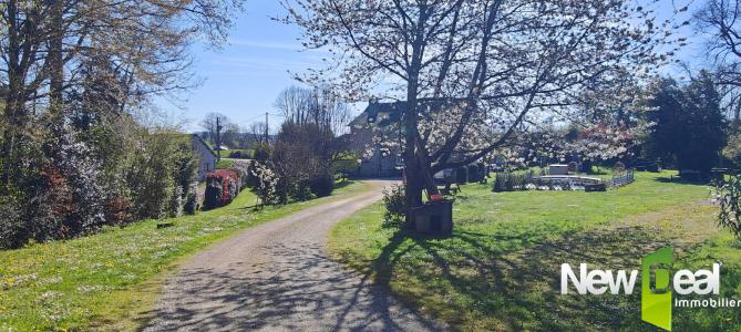 Annonce Vente Chambre d'hotes Brive-la-gaillarde 19