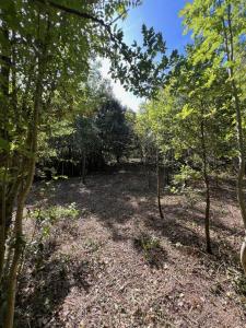 For sale AU BORD DE LA PISTE VERTE Herault (34390) photo 0