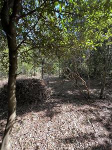 Annonce Vente Terrain  34