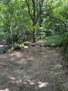 Acheter Terrain  11000 euros