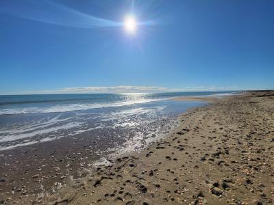 Annonce Vente 3 pi�ces Maison  34