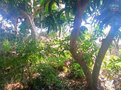 For sale Saint-gilles-les-hauts Reunion (97435) photo 0