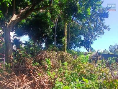 Annonce Vente Terrain Saint-gilles-les-hauts 974