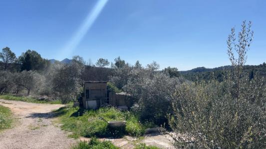 Acheter Maison 63 m2 Barjols