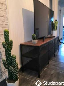 Annonce Location Appartement Troyes 10