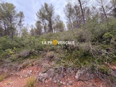 Acheter Terrain 30000 m2 Auriol