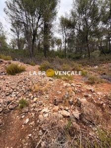 Acheter Terrain Auriol Bouches du Rhone