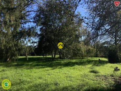 Annonce Vente 5 pi�ces Maison Blet 18