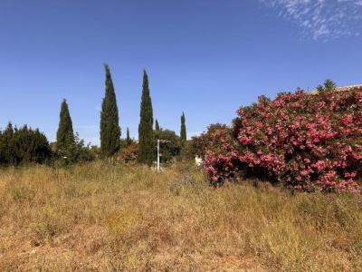 Annonce Vente Terrain Marcorignan 11
