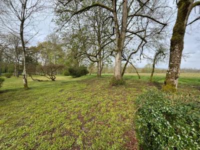 Annonce Vente 12 pi�ces Maison Saint-georges-sur-moulon 18