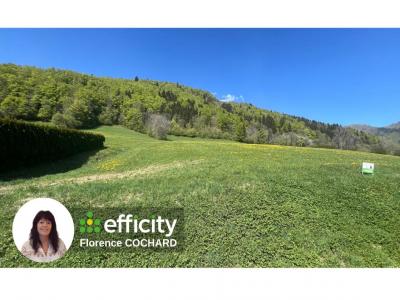 For sale Megevette 32767 m2 Haute savoie (74490) photo 0