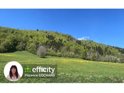 Annonce Vente Terrain Megevette 74
