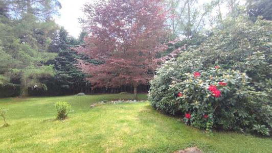 Annonce Vente 8 pi�ces Maison Lanobre 15