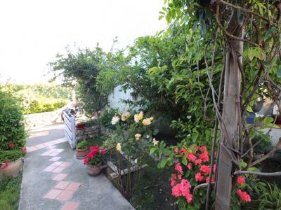 Annonce Vente 5 pi�ces Maison Arles 13