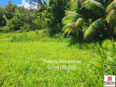 For sale Trinite 11914 m2 Martinique (97220) photo 0