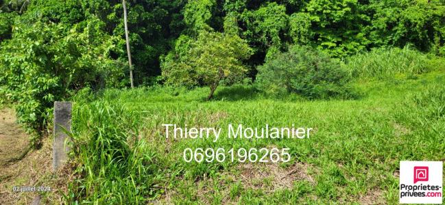 Annonce Vente Terrain Trinite 972