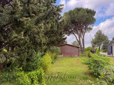For sale Carcassonne 500 m2 Aude (11000) photo 0