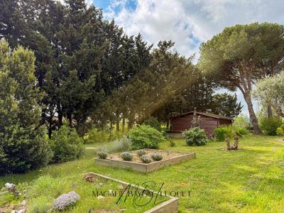 Acheter Terrain Carcassonne 58000 euros