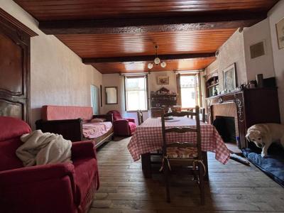 Annonce Vente 13 pi�ces Maison Prats-de-mollo-la-preste 66