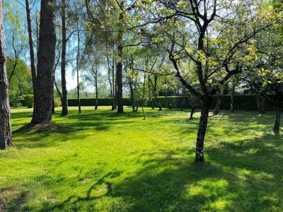 Annonce Vente Terrain Plesse 44