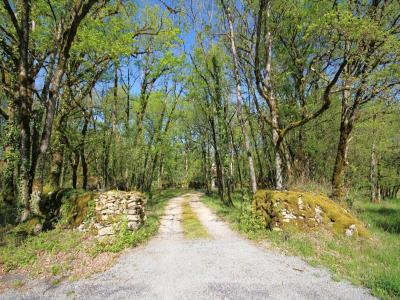 For sale Villefranche-de-rouergue 7 rooms 247 m2 Aveyron (12200) photo 0