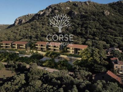 Annonce Vente 2 pi�ces Appartement Figari 20