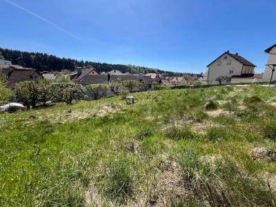 Annonce Vente Terrain Maiche 25